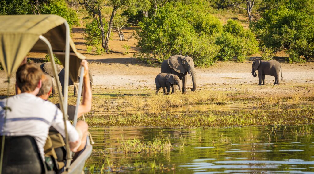 Tourists watching a small group of elephants at watering hole in Botswana, Africa - Our Planet.